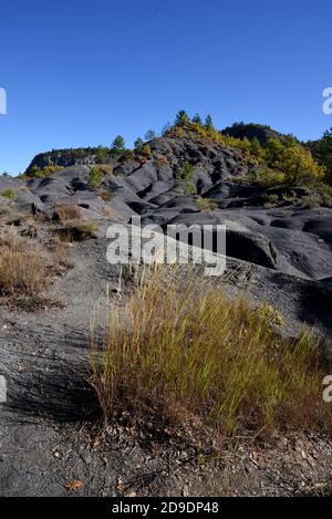 Black Marl, marlstone o Black Shale formazioni conosciute come Robines nel Geopark alta Provenza vicino Digne-les-Bains Alpes-de-Haute-Provence Francia Foto Stock