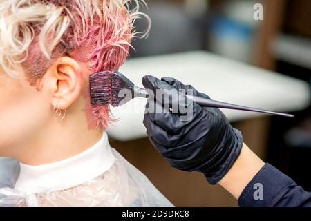Mano del parrucchiere tintura i capelli di colore rosa con pennello sul retro della testa di giovane donna caucasica in bellezza salone Foto Stock