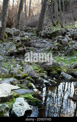 Montagna fiume sponda verticale, pietre coperte di muschio e tronchi di alberi, acqua limpida, sfondo naturale Foto Stock
