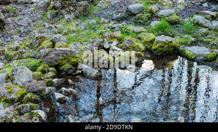 Riva del fiume di montagna, pietre ricoperte di muschio, acqua limpida, sfondo naturale Foto Stock
