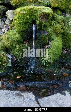 Sorgente naturale di acqua potabile pulita fotografia verticale, sorgente di acqua di montagna che scorre tra pietre ricoperte di muschio verde Foto Stock