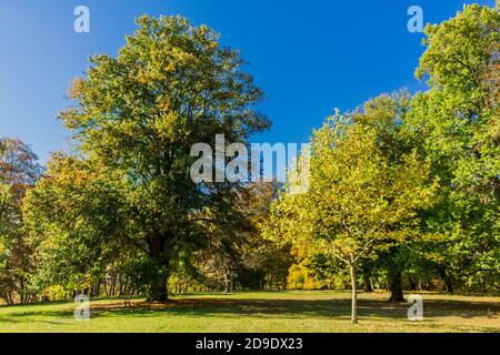Sensazioni autunnali nella bellissima valle di Werra - Turingia / Germania Foto Stock
