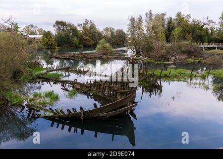 Cimitero storico di relitti in legno sommersi nell'acqua del fiume Sile chiamato cimitero di Burci. Casier Italia Foto Stock