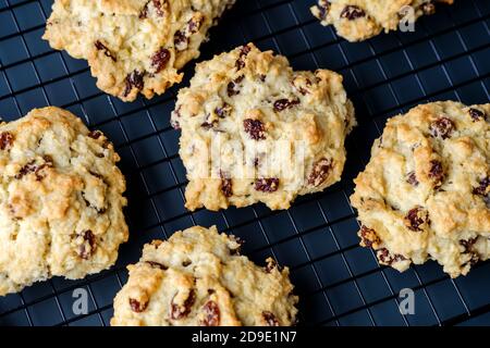 Un lotto di torte tradizionali fatte in casa, o Rock Buns, su una griglia di raffreddamento. Le gustose torte sono piene di Sultanas e uva passa Foto Stock