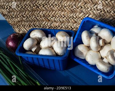 Funghi Champignon in scatole di plastica blu accanto ad un cesto di vimini. Nelle vicinanze cipolle verdi e rosse. Foto Stock