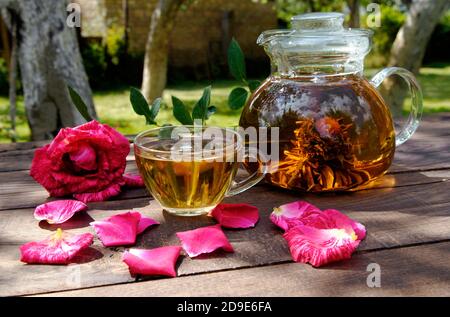 Teiera con tè cinese in giardino su sfondo di legno Foto Stock