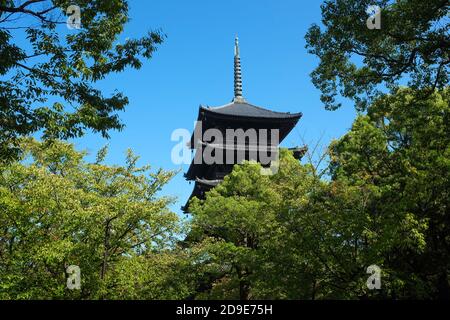 La pagoda a cinque piani al tempio Toji di Kyoto, Giappone. Con i suoi 55 metri di altezza, è la pagoda più alta del Giappone. Foto Stock