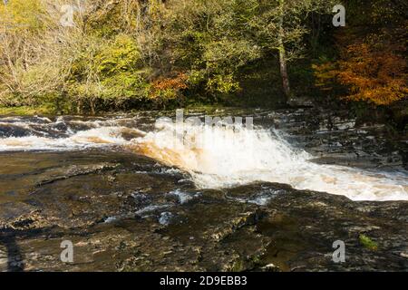 Le portate superiori del fiume Ribble a Stainforth, North Yorkshire, Inghilterra, Regno Unito. Foto Stock