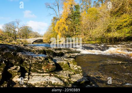 Stainforth Packhorse Bridge sulla parte superiore del fiume Ribble a Stainforth, North Yorkshire, Inghilterra, Regno Unito. Foto Stock