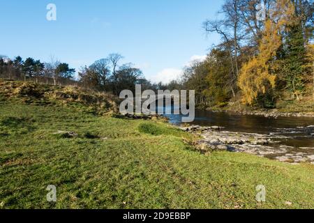 Stainforth Packhorse Bridge sulla parte superiore del fiume Ribble a Stainforth, North Yorkshire, Inghilterra, Regno Unito. Foto Stock