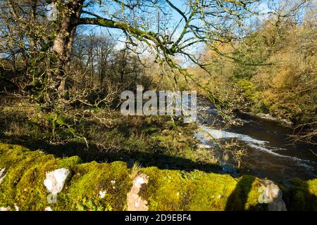 Le portate superiori del fiume Ribble a Stainforth, North Yorkshire, Inghilterra, Regno Unito. Foto Stock