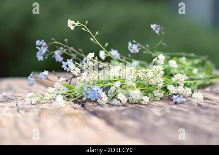 Un bouquet di blu e bianco dimenticate-me-nots su un tavolo di legno nel giardino. Foto Stock