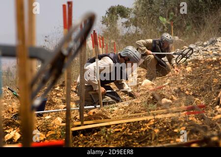 Pneumatico, Libano. 15 luglio 2010 un team del Mines Advisory Group (MAG) che si occupa della bonifica delle munizioni a grappolo non esplose nelle terre agricole del sud del Libano. Foto Stock