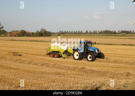 un trattore con imballatrice sta effettuando balle di paglia un ex campo di grano nella campagna olandese in estate Foto Stock