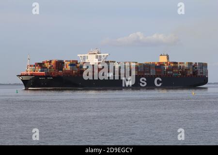 una grande nave da carico naviga da anversa verso il mare del nord attraverso il mare di westerschelde in zeeland, paesi bassi Foto Stock