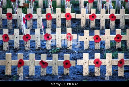 Linee di papaveri e croci poste di fronte all'abbazia prima del giorno della memoria service.centinaia di croci con papaveri sono state posate nei terreni dell'abbazia in preparazione per il servizio di giorno della memoria presso l'Abbazia di Westminster. Foto Stock