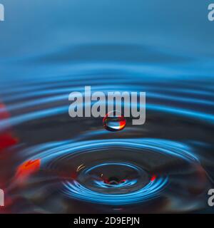 Goccia d'acqua, colpo vicino di goccia d'acqua Foto Stock