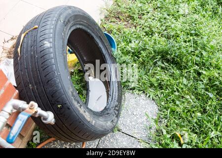 Acqua in piedi intrappolata in pneumatico e contenitori razza zanzara Foto Stock