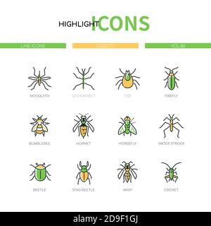 Collezione di insetti - linea moderna design stile icone set Illustrazione Vettoriale
