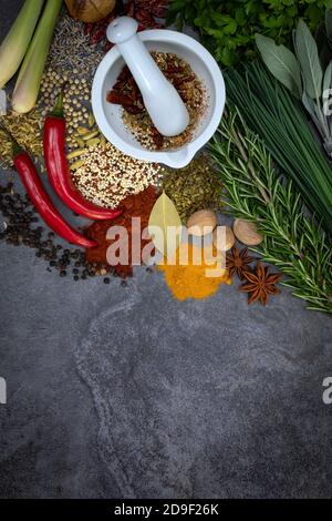 Erbe e spezie su uno sfondo grigio ardesia con spazio per il testo. Foto Stock