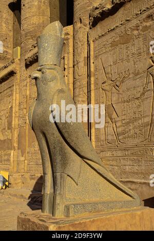 Sentinelle di pietra del dio a testa falconata Horus vegliano sul Grande Pylon, mentre rilievi di pietra su entrambi i lati della porta cantano le lodi di Tolomeo Foto Stock