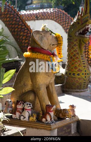 Thailand Wat Ket Karem tempio del cane, con statue e cani da notte e offerte Foto Stock