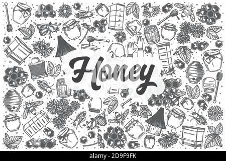 Set di doodle vettoriali al miele disegnate a mano. Illustrazione Vettoriale