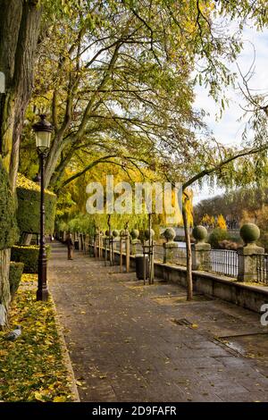 Paseo del Espolon a Burgos, vicino al fiume Arlanzón con un uomo sullo sfondo durante l'autunno Foto Stock