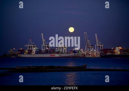 Navi portacontainer a Roberts Bank Terminal, Delta, British Columbia, Canada. Foto Stock