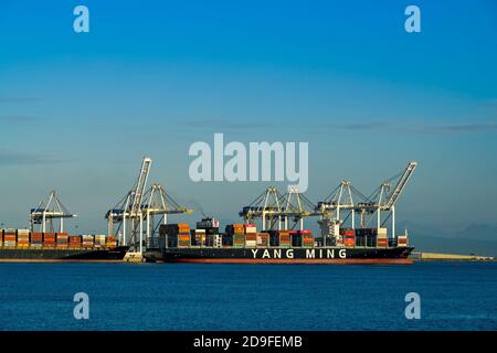 Navi portacontainer a Roberts Bank Terminal, Delta, British Columbia, Canada. Foto Stock