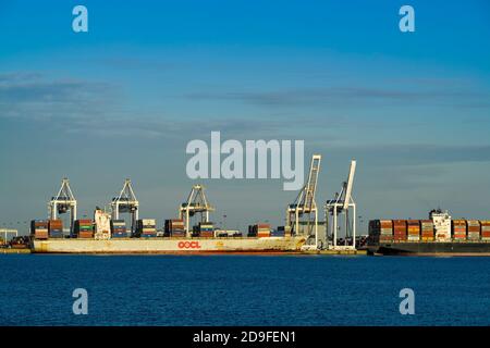 Navi portacontainer a Roberts Bank Terminal, Delta, British Columbia, Canada. Foto Stock