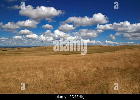 Una vista panoramica sui pascoli di Aubrac in un bellissimo pomeriggio di agosto. Foto Stock