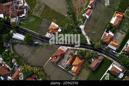 Vista dall'alto o ripresa aerea di risaie verdi e gialle fresche. Vista aerea dei campi di riso piantati e villaggi rurali, geometria dell'agricoltura. Bali Foto Stock