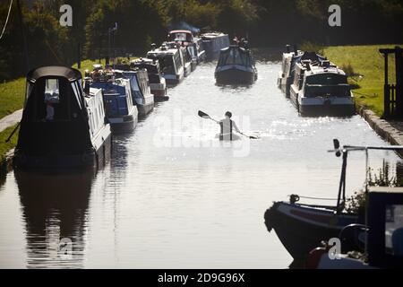 Mattina piena di impegni presso il porticciolo di Nantwich Canal Centre Cheshire sullo Shropshire Union Canal con canoista che addlatura la sua canoa Foto Stock