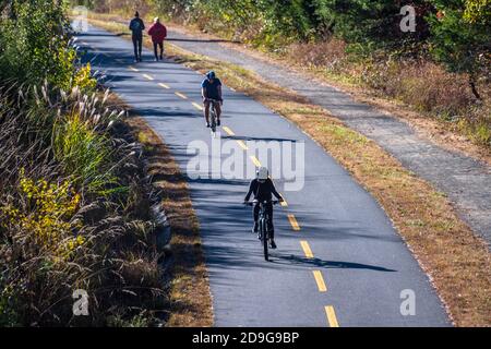 Reston, Virginia. USA -- 4 novembre 2020. Ciclisti ed escursionisti condividono un percorso circondato da fitti fogliame a Reston, Virginia. Foto Stock