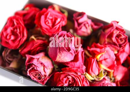 Boccioli, fiori e petali rossi secchi di rosa nella scatola di cartone aperta Foto Stock