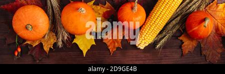 Vendemmia autunnale e Ringraziamento. Zucche mature, mais e grano su sfondo di legno. Formato banner. Foto Stock