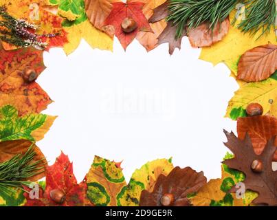 Autunno ancora vita. Spazio di copia vuoto mockup di una composizione autunnale con nocciole e foglie autunnali. Concetto di caduta e di ringraziamento. Foto Stock