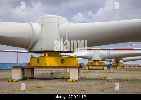 Tre giranti giganti di turbina eolica su mulino a vento assambly cantiere per costruire fattorie a vento in mare Foto Stock