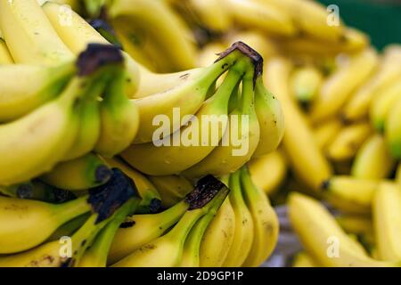 banane nel reparto frutta del deposito della drogheria Foto Stock