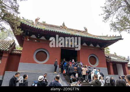 Greggi di visitatori, vestiti con impermeabile di vari colori, visita il Monastero di Shaolin, noto anche come il Tempio di Shaolin, che e il suo Pagoda Forest Wer Foto Stock