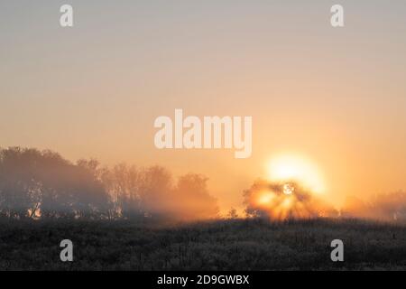 Alba, nebbia, prato e campo, Midwestern USA, di Dominique Braud/Dembinsky Photo Assoc Foto Stock