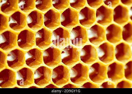 Struttura di fondo e disegno di una sezione di nido d'ape di cera da un alveare di ape riempito di miele Foto Stock