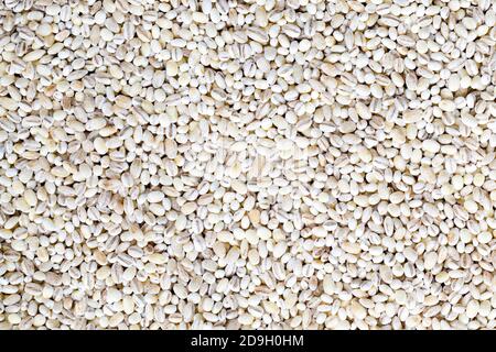 grano crudo di orzo di perla Foto Stock