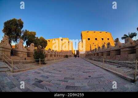 Sulla strada verso l'entrata, troverete un viale a testa di ariete di Sphinxes, che è stato costruito per proteggere il Tempio. Su ciascun lato sono presenti 20 cilindri Foto Stock