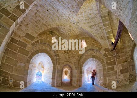 La Cittadella di Qaitbay è una fortezza islamica del XV secolo costruita per proteggere la città dall'invasione dei Crociati. Oggi è uno dei più popolari Alexandri Foto Stock