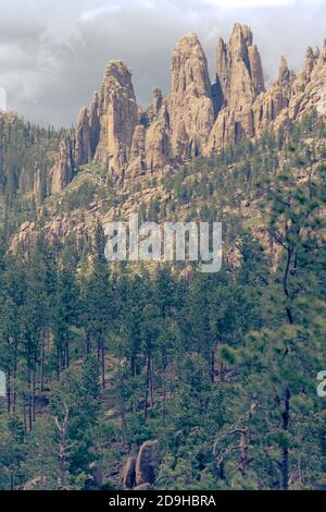 Splendide formazioni rocciose a guglie nel Custer state Park lungo il Needles Highway South Dakota Foto Stock