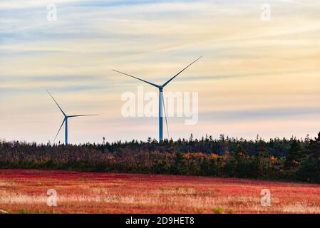 Le grandi turbine eoliche si profilano sopra i campi di mirtillo rosso-autunno e il paesaggio dell'Isola del Principe Edoardo, Canada. Foto Stock