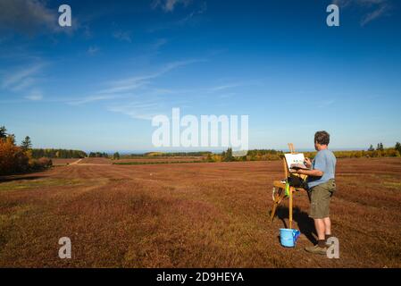 L'artista Plein Air dipinge i colori del paesaggio autunnale e dei campi di mirtillo rosso sulla sponda nord dell'isola del Principe Edoardo. Foto Stock