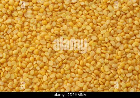 Un mucchio mung dal o moong dal molto con spazio di copia per il testo. Concetto di cibo per la salute. Mung dahl ingrediente alimentare essiccato. Foto Stock